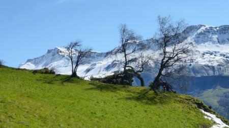 À la montée