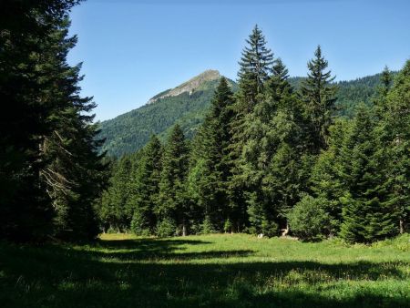 La Pinéa vue non loin du Col de Porte