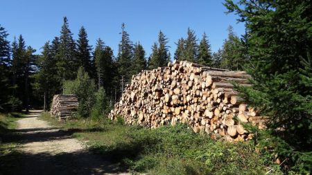 La tempête n’avait pas tout rasé !