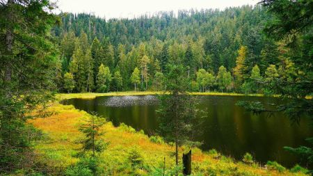 Schurmsee.