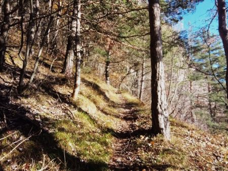 Au départ sur le sentier...