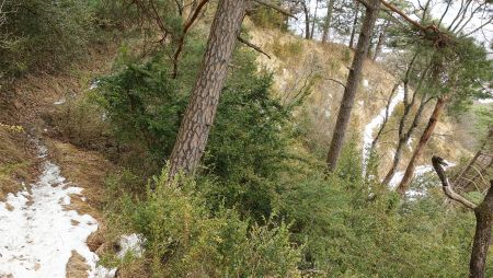 Le sentier de descente.