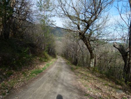 Montées et descentes s’enchaînent