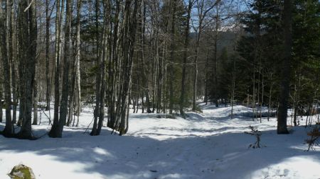 Proche du Grand Clos. Itinéraire.