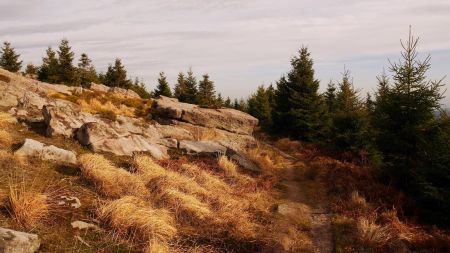 Sur le GR53, en quittant le Rocher de Mutzig.