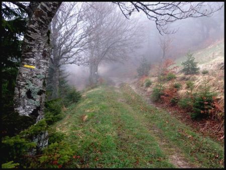 Chemin en direction du Pré Rond.