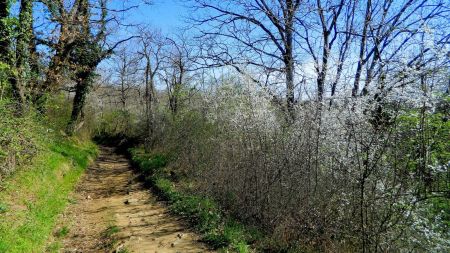 Descente dans le ravin du Moulina