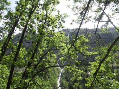 La cascade au retour