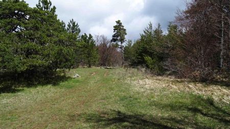 Au col de Montanit, retour à la piste forestière prise au départ