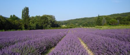 La Drôme provençale en juillet.