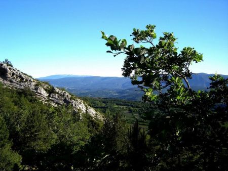 Le Mont Ventoux au loin.