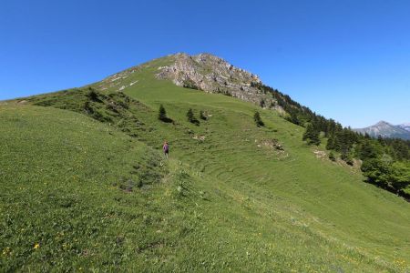 Du col de Fouerous, les drailles de vaches à suivre.