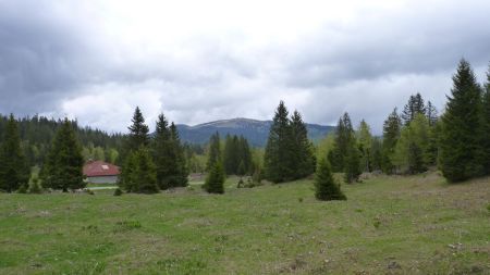 La Dôle depuis la Combe à la Chèvre