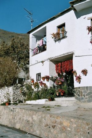 Piments à trevelez.