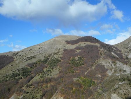 Le Puy.