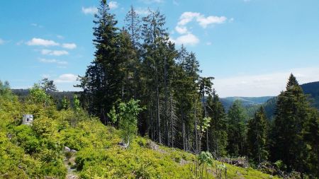 Sentier menant à la Melkenhütte.