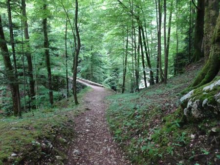 ...mais ne pas traverser le Pont Perrant, monter à droite