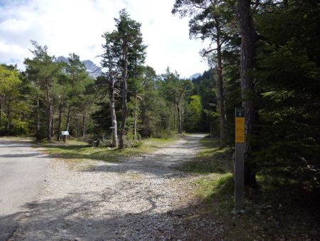 Départ, prendre la piste à droite.