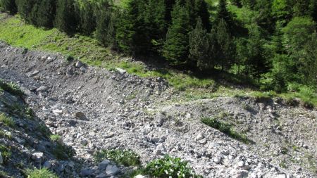 Au bout de la piste forestière : la ravine de la Plainie à traverser.