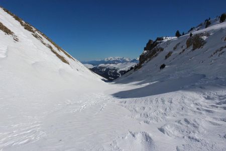 Au Pas des Bachassons