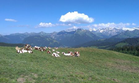 Le Chablais