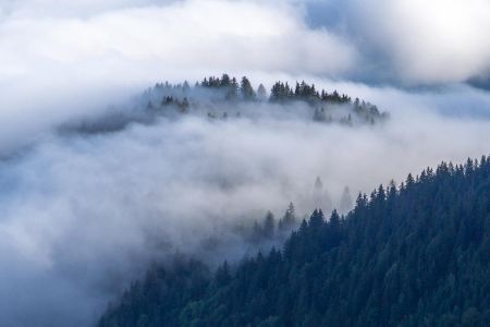 Les forêts de Belledonne, une histoire d’humidité