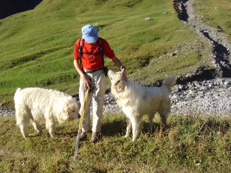 Les patous de Varlossière