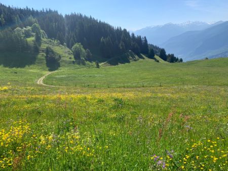 La piste à emprunter