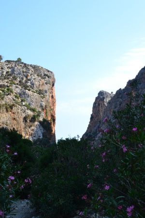 Dans les gorges