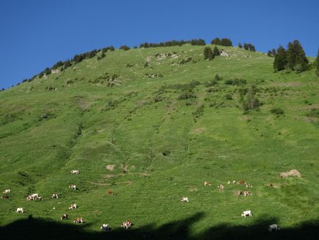 La face sud-ouest de la Pointe d’Uble.