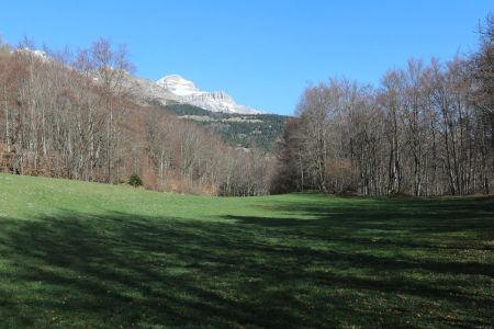 Du champ entre Villard Joli et le Mas, vue sur l’Obiou.