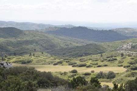 Plateau de la Caume