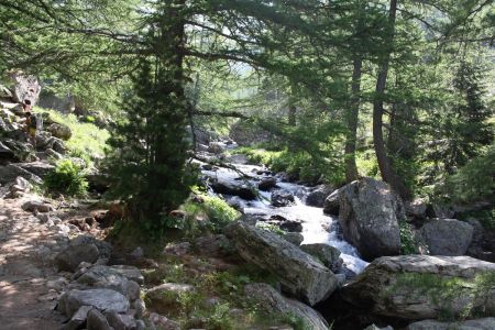 Torrent de Peïrastrèche