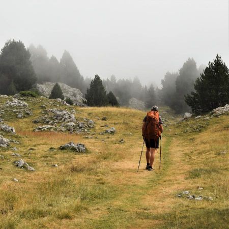 Brouillard sur les plateaux