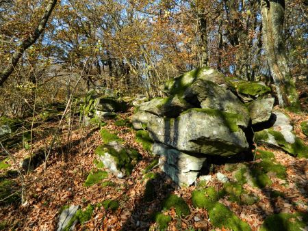 Les vestiges du Château de Bélize.