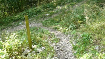 Au-dessus du Chemin du Marchand, poteau.