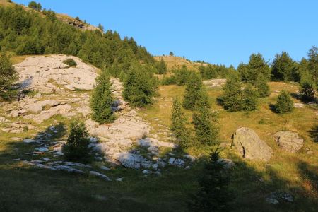 Les belles lumières matinales.