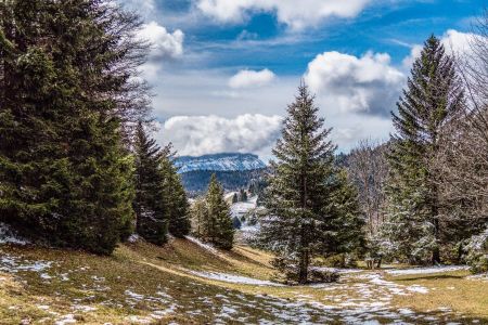 En vue du Creux de Lachat