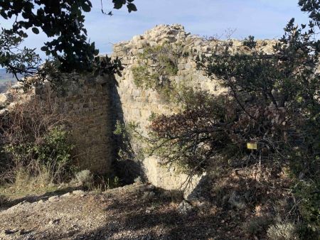 Ruines du château.