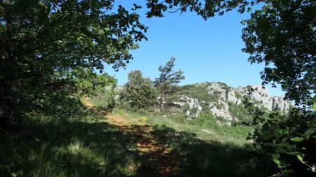 Une porte sur la réserve biologique. 