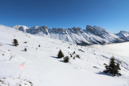 Le versant sud du Gicon devant la Montagne de Faraut.