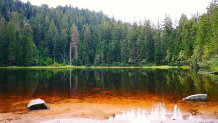 Wildsee, rive sud.