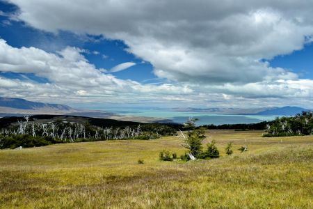 Lac Viedma