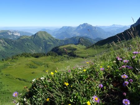 Epaule de Chaurionde