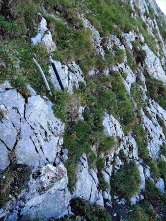 Le mur d’entrée dans le couloir. Les 2 piolets sont en place, et il suffit de poser les pieds sur les herbes. Si, si, cela passe bien, je vous l’assure !