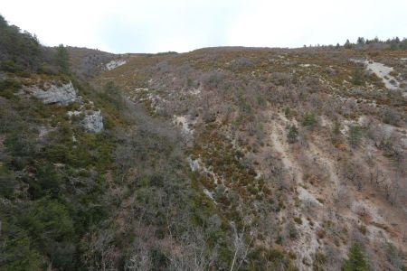 L’adret de la montagne de Tarsimoure.