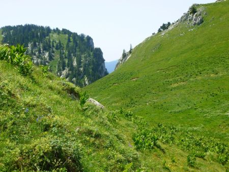 Sous le col du Frêt   