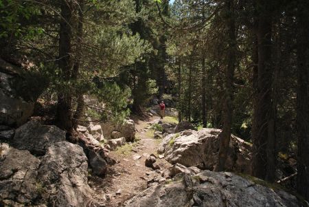 Le long du sentier, un passage très agréable à l’ombre