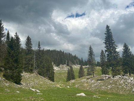 Vue arrière sur le Chalet du Croue, de la Combe aux Tassons