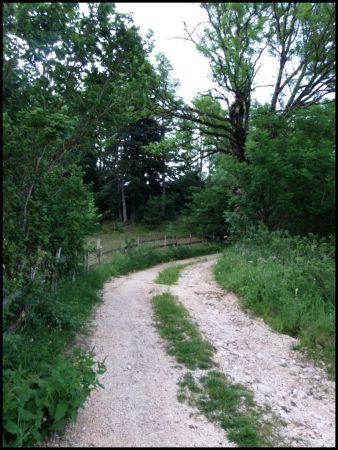 Chemin A. Pinataire balisé jaune/vert.